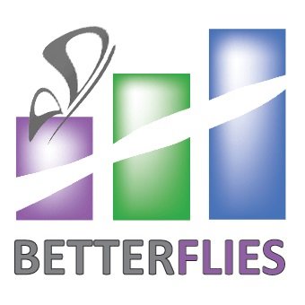 Logo Betterflies Lyon France Pimcore